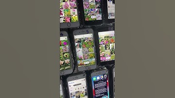 ⭕️#MAX2020Pre - tool nuôi acc trên iPhone | Franky Nouva