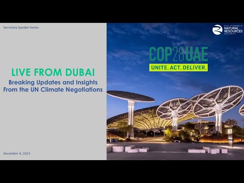 Dubai, Open City – The Nutshell Times