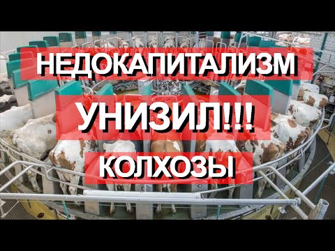 Фермеры против колхозов