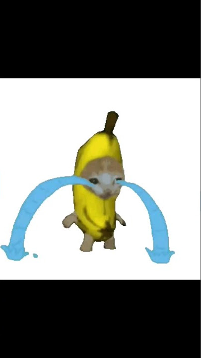 banana cat crying