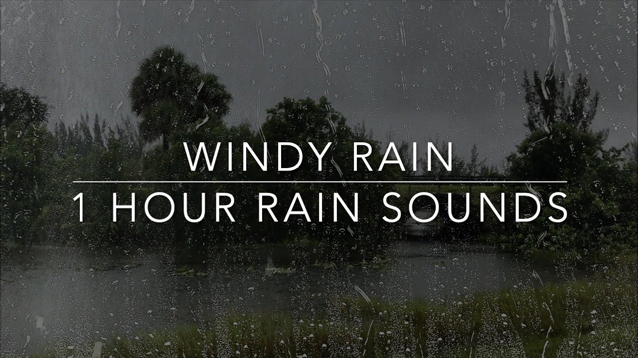 Sleep With Rain - Heavy Rain and Wind - Windy Rain - 1 hour - YouTube