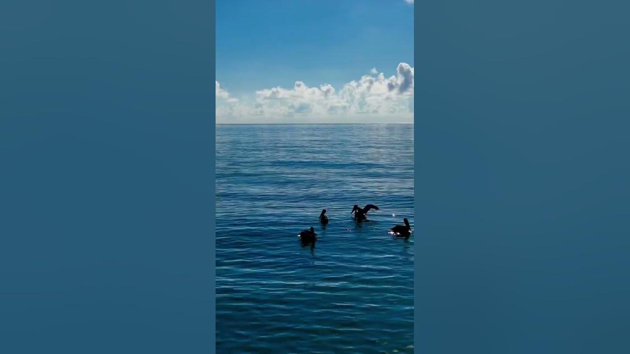 Serenity on the Ocean: Peaceful and Stunning Silence on the Ocean