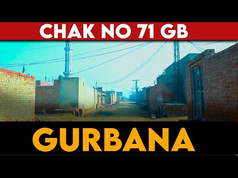 Chak Number 71 GB Gurbana Jaranwala Faisalabad | Lehnde Punjab De Pind | Indoz TV