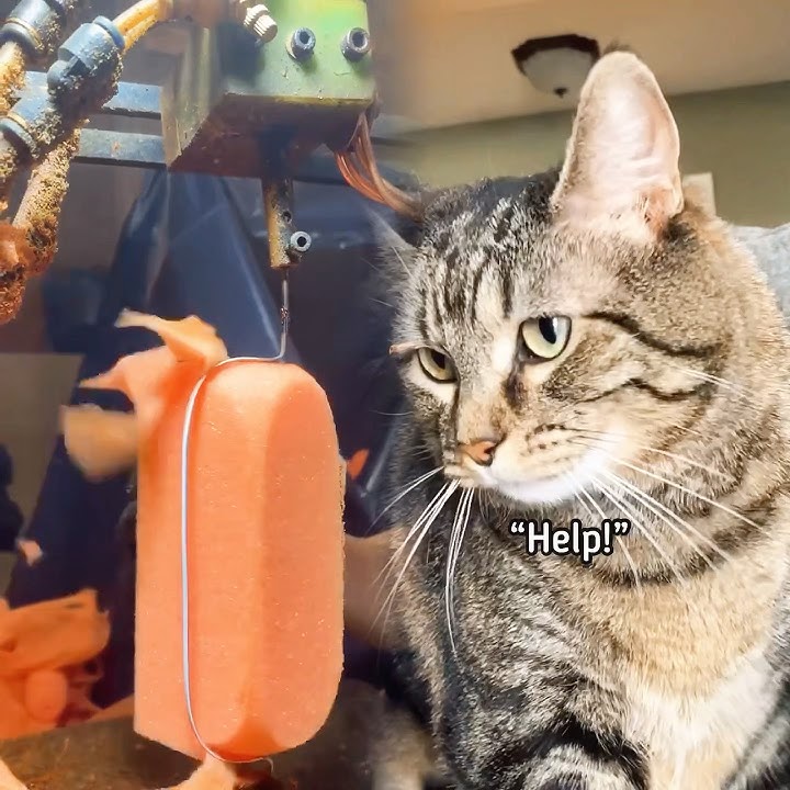 She’s not a fan of even the tiniest of bugs #shorts #pov #acting