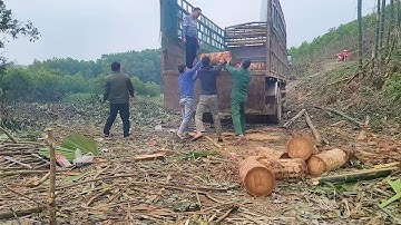 KẾT THÚC MỘT NGÀY LÀM VIỆC CUỐI CÙNG CỦA NĂM  2021 /Minh Mộc