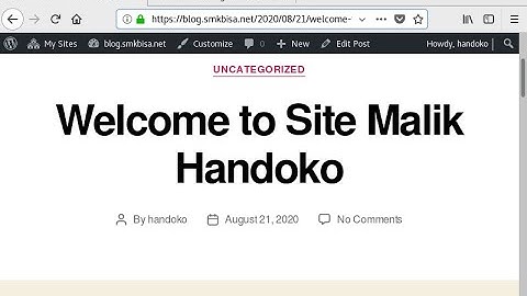 Cara Konfigurasi VPS menggunakan EasyEngine Debian 8 di VMware   | Linux Environment