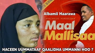 Maal Mallisaa - Albami Haarawa Haacaaluu Hundessa | Hachalu Hundessa New Music Album