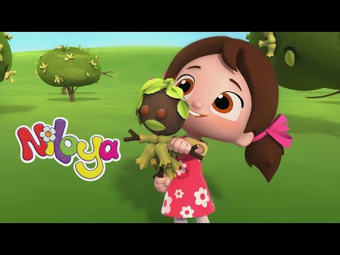 Niloya English -