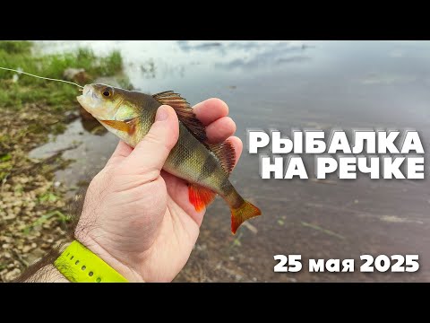 Рыбалка на ПОПЛАВОК.