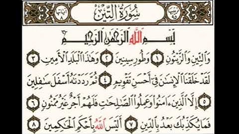 سورة التين بصوت القارئ بيشوا قادر الكردي 🌹
