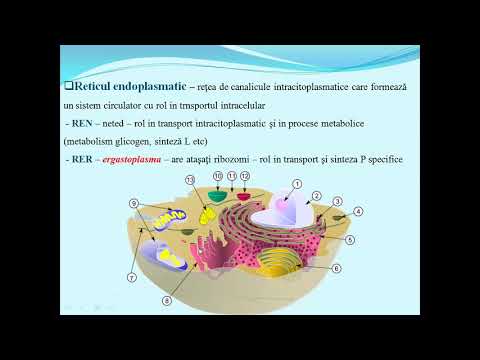 ULTRASTRUCTURA CELULEI - Lectii de biologie clasa a IX-a - bacalaureat