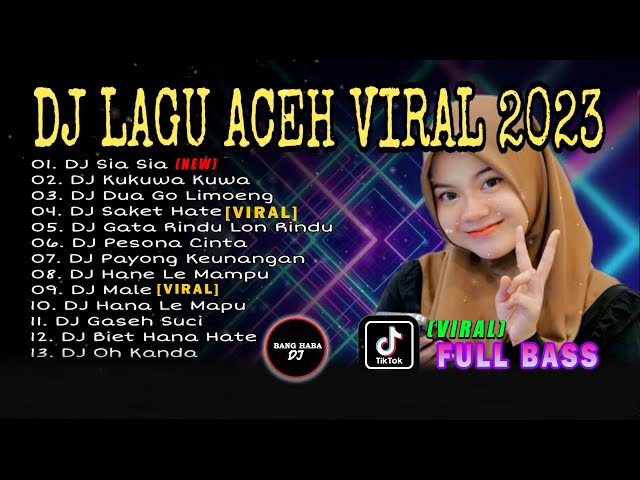 DJ ACEH FULL ALBUM - DJ SIA SIA FULL BASS VIRAL TIKTOK TERBARU 2023 class=