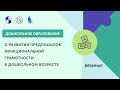 О развитии предпосылок функциональной грамотности в дошкольном возрасте