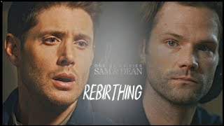 Sam and Dean | Rebirthing | skillet | Supernatural | На Русском | Сэм и Дин | Clip | Клип