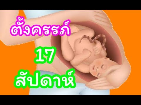 วีดีโอ: ทารกในครรภ์จะหน้าตาเป็นอย่างไรเมื่ออายุ 17 สัปดาห์
