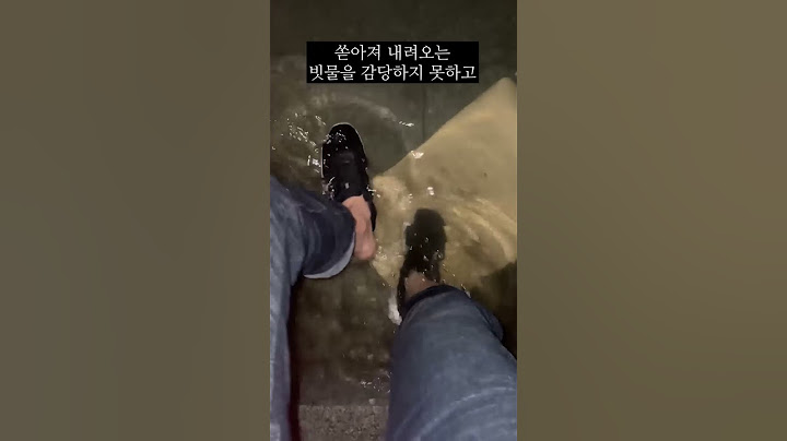 [앙찡일기] 폭우때문에 반지하 집이 침수되면 어떤 기분일까?