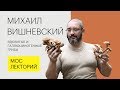 Ядовитые и галлюциногенные грибы // Михаил Вишневский Лекция 2018