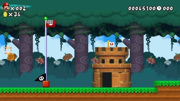 Mario Multiverse | Custom Level: Mario in the Fungus Forest (NSMBDS Style)