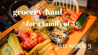 Family of 3 + 2 (sorta) Grocery Haul