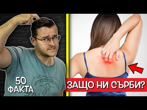 Видео: 20 Още невероятни бързи факти