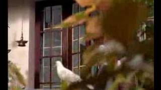 New Leo Coffee Mix Original Scored By A.r Rahman