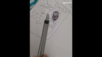 101 player squid game3 #edit