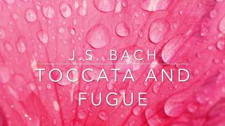 J.s. Bach - Toccata And Fugue In D Minor | И.с. Бах - Токката И Фуга