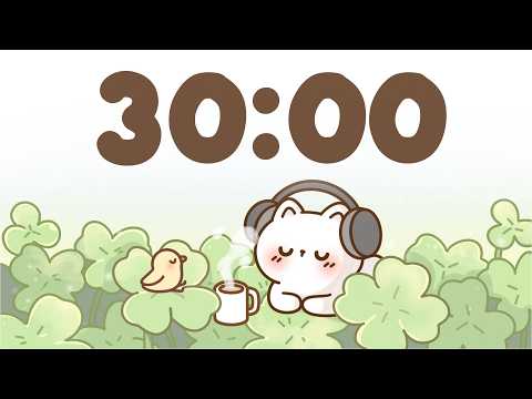 30 Minute Timer  Chill lofi timer for study