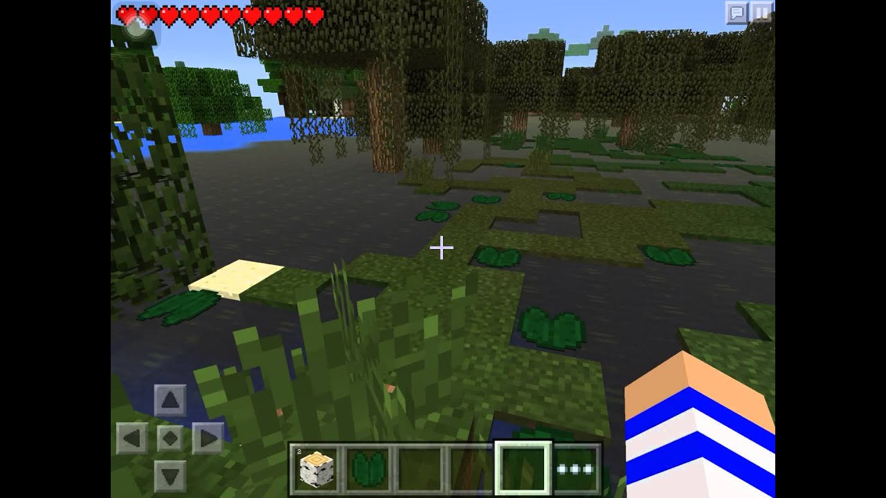 Minecraft PE : Swamp Seed (Medium) - YouTube