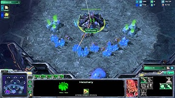 bvd.Shase vs RGNPhoeNix - Game 1 - 3rd/4th Place Match - PolarfluKe: July Zerg