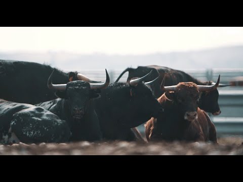 Reportaje en Concha y Sierra, antes de la Copa Chenel