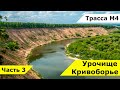 Урочище Кривоборье в Воронежской области - маршрут, история и обзор с высоты / Рамонь, трасса М4 Дон