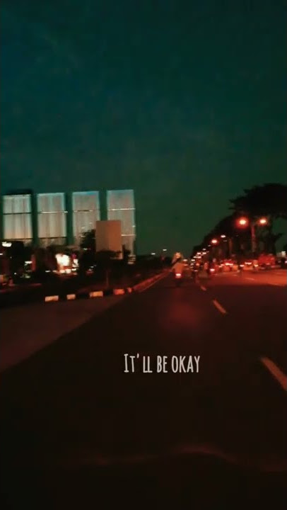 It'll Be Okay - Shawn Mendes || Sad Story/Status WhatsApp Instagram