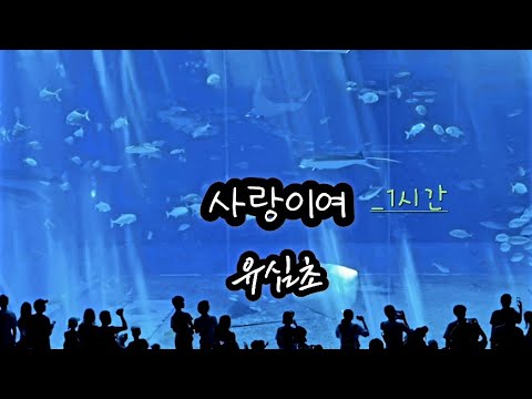 사랑이여 가사 유심초 1시간듣기