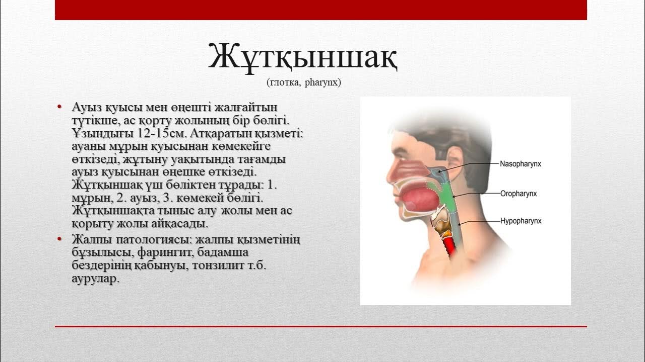 Орыс порно, не істеп жатырсың, балам? Мен сенің анаңмын.