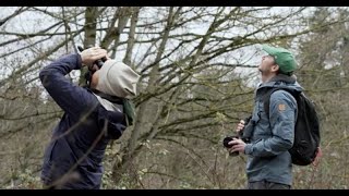 The Immersion: Bird Language