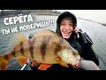 РЫБАЛКА в МОРОЗ на РЕКЕ!!! БОБРЫ УСТРОИЛИ ЗАСАДУ и мы ЛОВИЛИ на СПИННИНГ