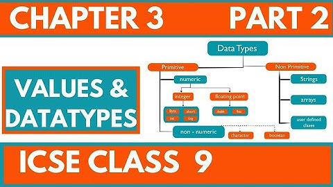 values and data types | icse 9 computer applications | chapter 3 part2