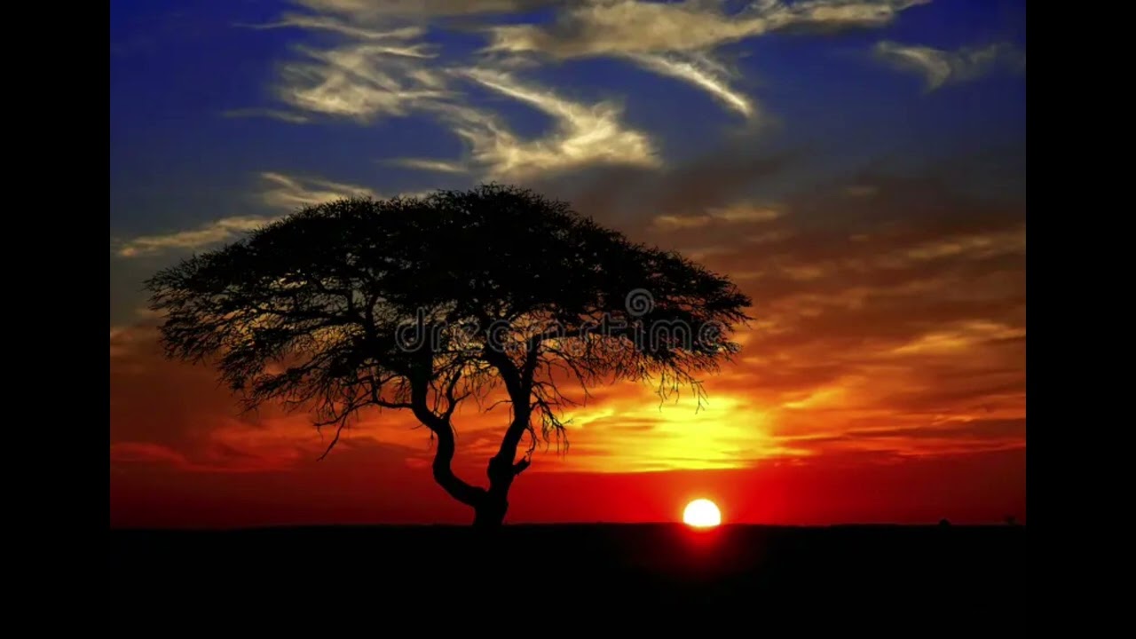 Taali et Tindi et Hala poular farba tela