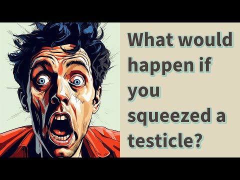 What would happen if you squeezed a testicle?