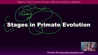 Stages in Primate Evolution | NEET UG Biology - Complete lectures @ doorsteptutor.com