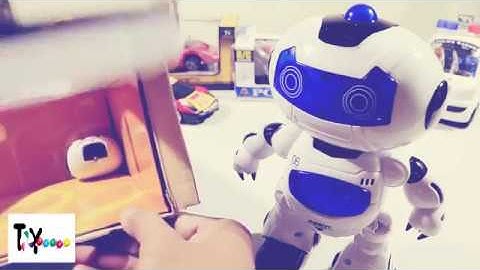 Toyhouse 0068 RC Robot