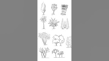 Currently making some trees brushes for Procreate 🌲✨ #architecturedrawing #procreate #digitalart