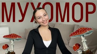 МИКРОДОЗИНГ МУХОМОРОМ | Оно того стоило? Что грибы делают с вашим мозгом | Для чего люди едят грибы?