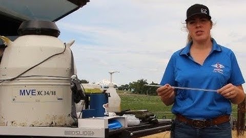 Word in the Herd - Methods of Loading AI Guns