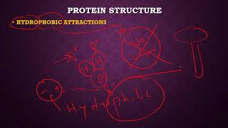 PROTEINS: NON-COVALENT FORCES PART-IV HYDROPHOBIC INTERACTIONS