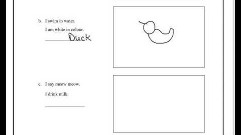 EDMC CLASS 4TH ENGLISH WORKSHEET WEEK 3