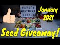 Mid January Catch UpOn The Plot | Seed Giveaway 2021 | Dave's Allotment Garden