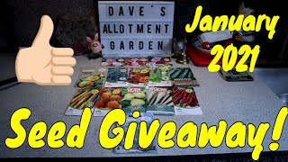 Mid January Catch UpOn The Plot | Seed Giveaway 2021 | Dave's Allotment Garden