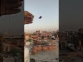 Kite Flying 🤯 #kiteflying #kitelover #shortfeeds #viralvideos #shorts #kites